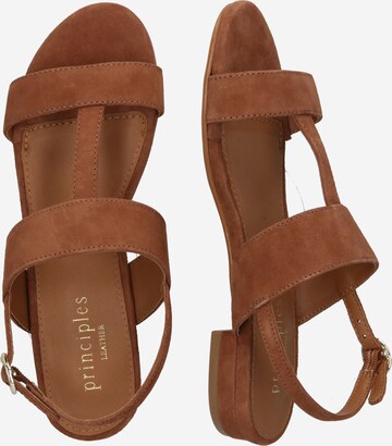 Dorothy Perkins Remienkové sandále 'Bronya' - Hnedá