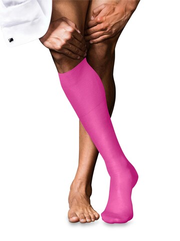 FALKE Knee High Socks 'No. 9 Pure Fil d´Écosse' in Pink: front
