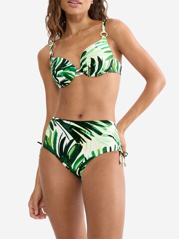 TRIUMPH Bikini bottom ' Red Label Summer Palm ' in Green: front