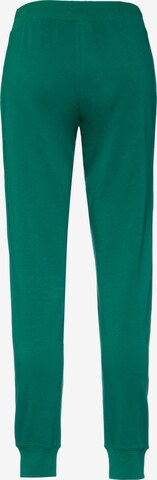 Champion Authentic Athletic Apparel Regular Pants 'Legacy' in Green