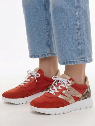 Wonders Platform trainers 'A-24100-FLAM-RAME' in Red