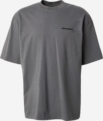 Pegador T-shirt i grå: framsida