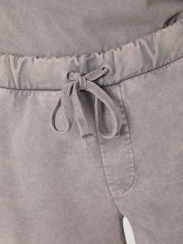 DAN FOX APPAREL Regular Trousers 'Connor' in Grey