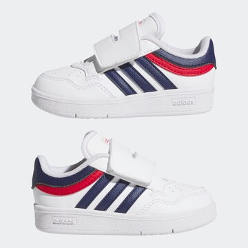 ADIDAS SPORTSWEAR Sneakers in White