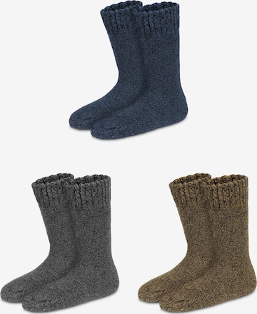 Polar Husky Socks in Mixed colours: front