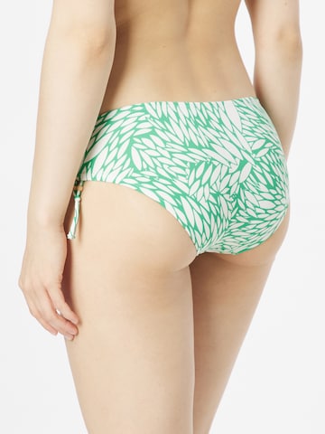 LingaDore Bikini Bottoms in Green