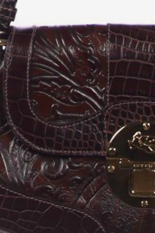 Etro Bag in One size in Brown