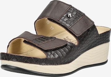 Mule vital en marron : devant