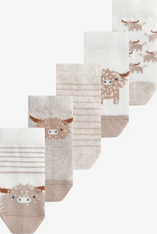 Next Sukat värissä beige: etupuoli