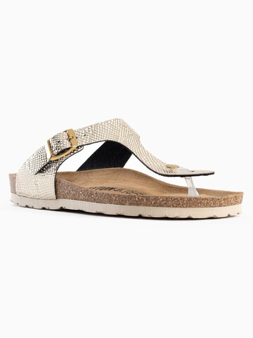 Bayton Mule 'Mercure' in Gold