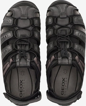 GEOX Sandals in Black