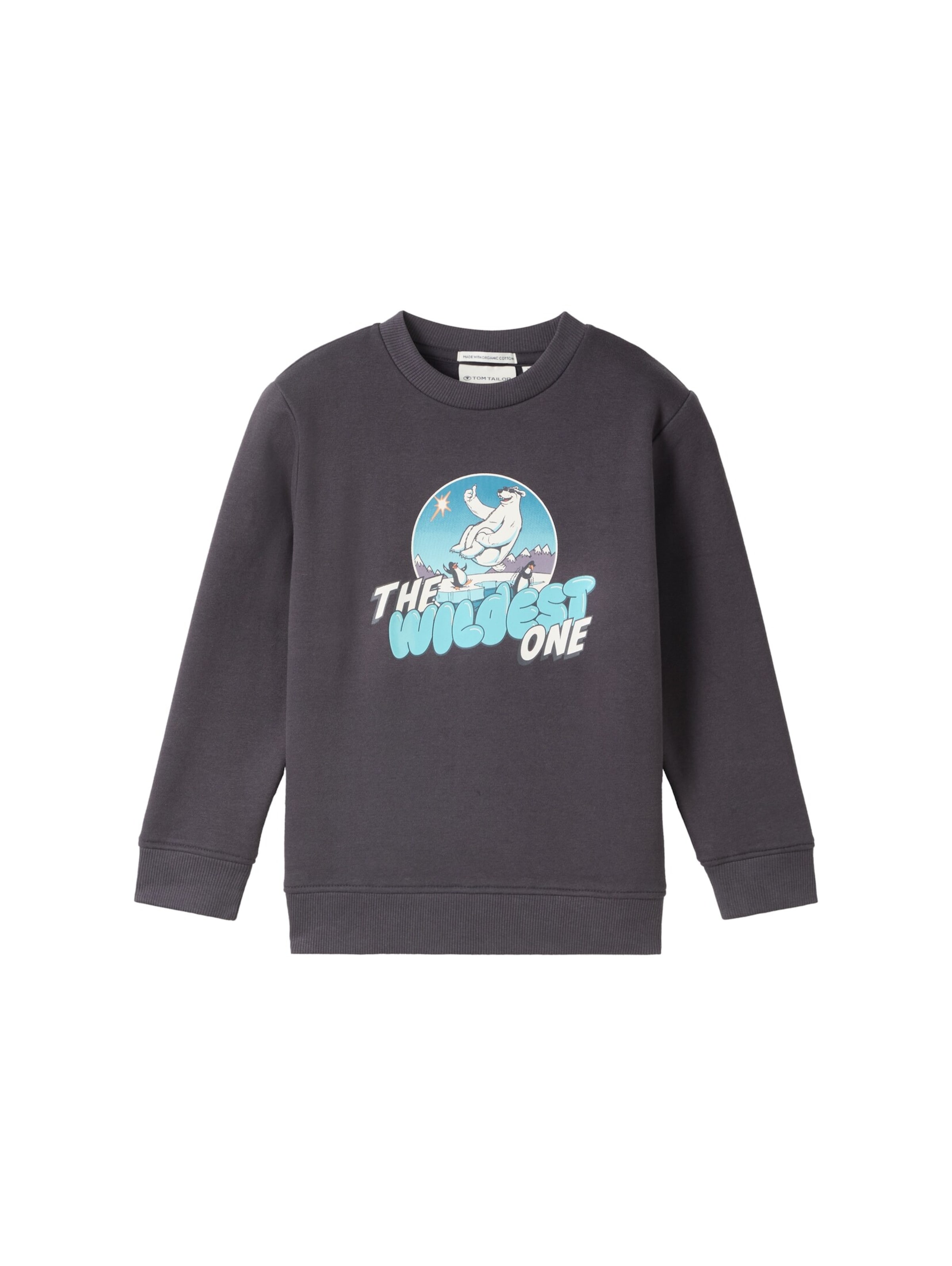 TOM TAILOR Sweatshirt in Grijs: voorkant