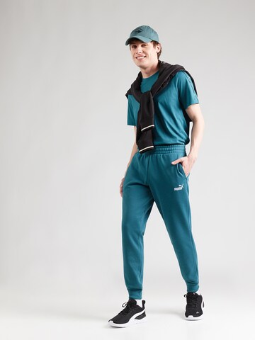 PUMA Regular Sportbroek 'ESS No. 1' in Groen