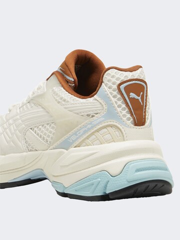 PUMA Sneakers ' Velophasis ' in White