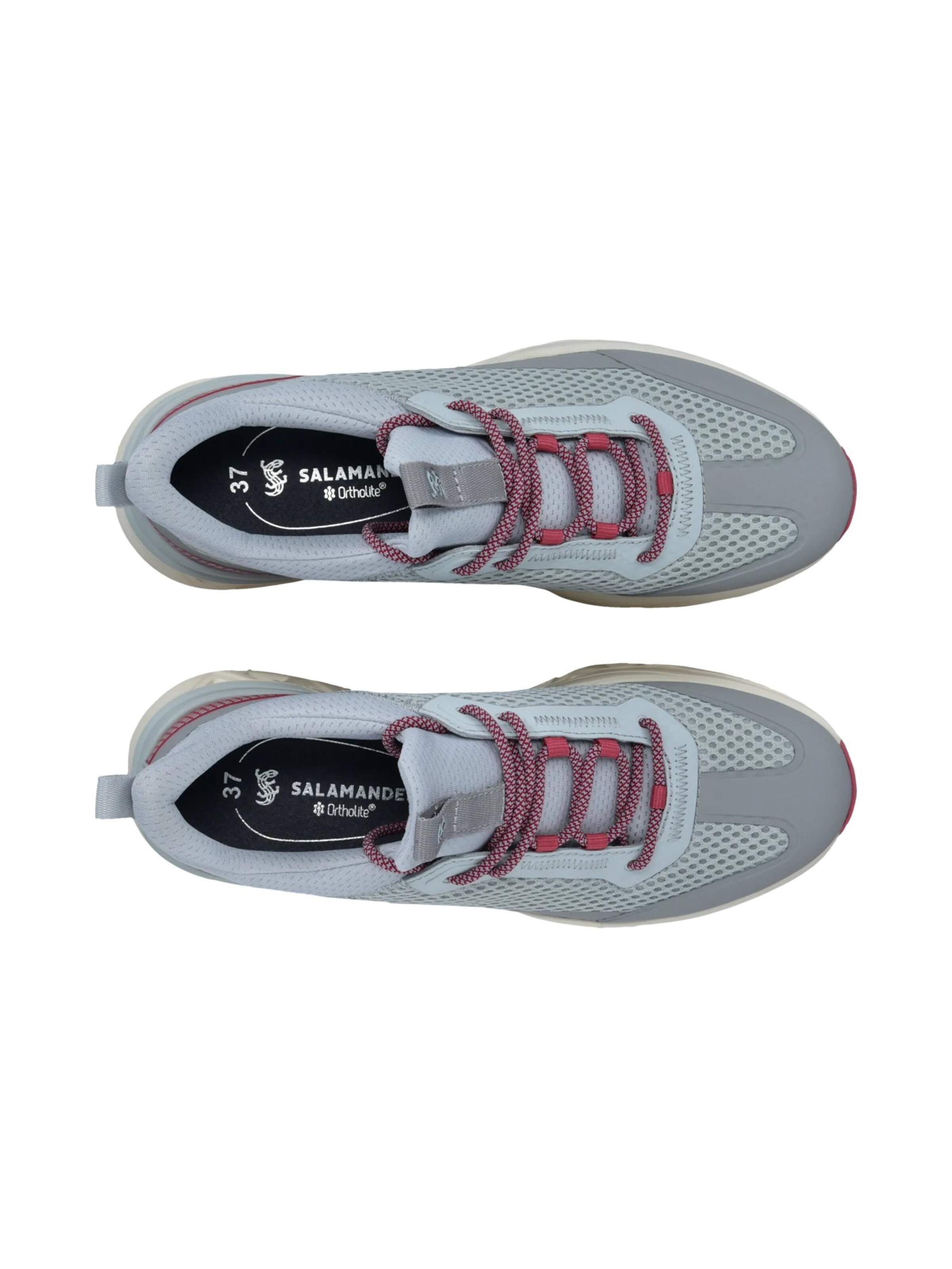 SALAMANDER Низкие кроссовки в Серый