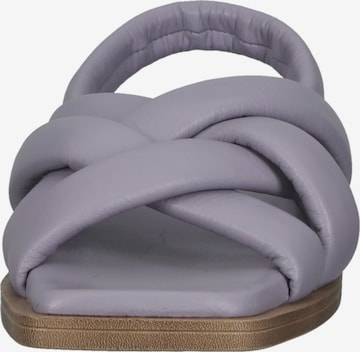 ILC Sandals in Purple