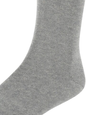 FALKE Socks 'Cotton Finesse' in Grey