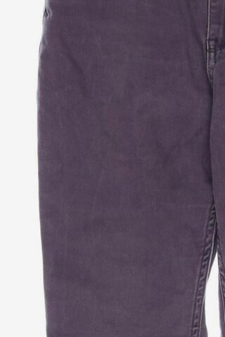 HOLLISTER Jeans in 24 in Purple