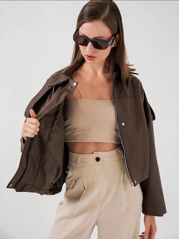 Veste d’hiver 'Jacken' Bigdart en marron