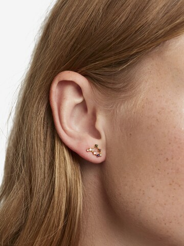 P D PAOLA Earrings 'Capricorn' in Gold