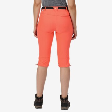 REGATTA Regular Outdoor Pants 'Xert' in Orange