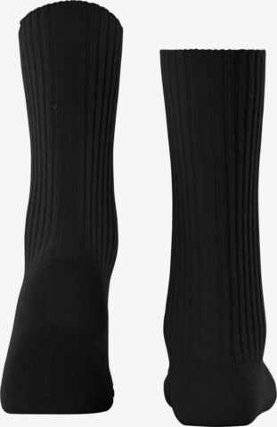 Chaussettes FALKE en noir