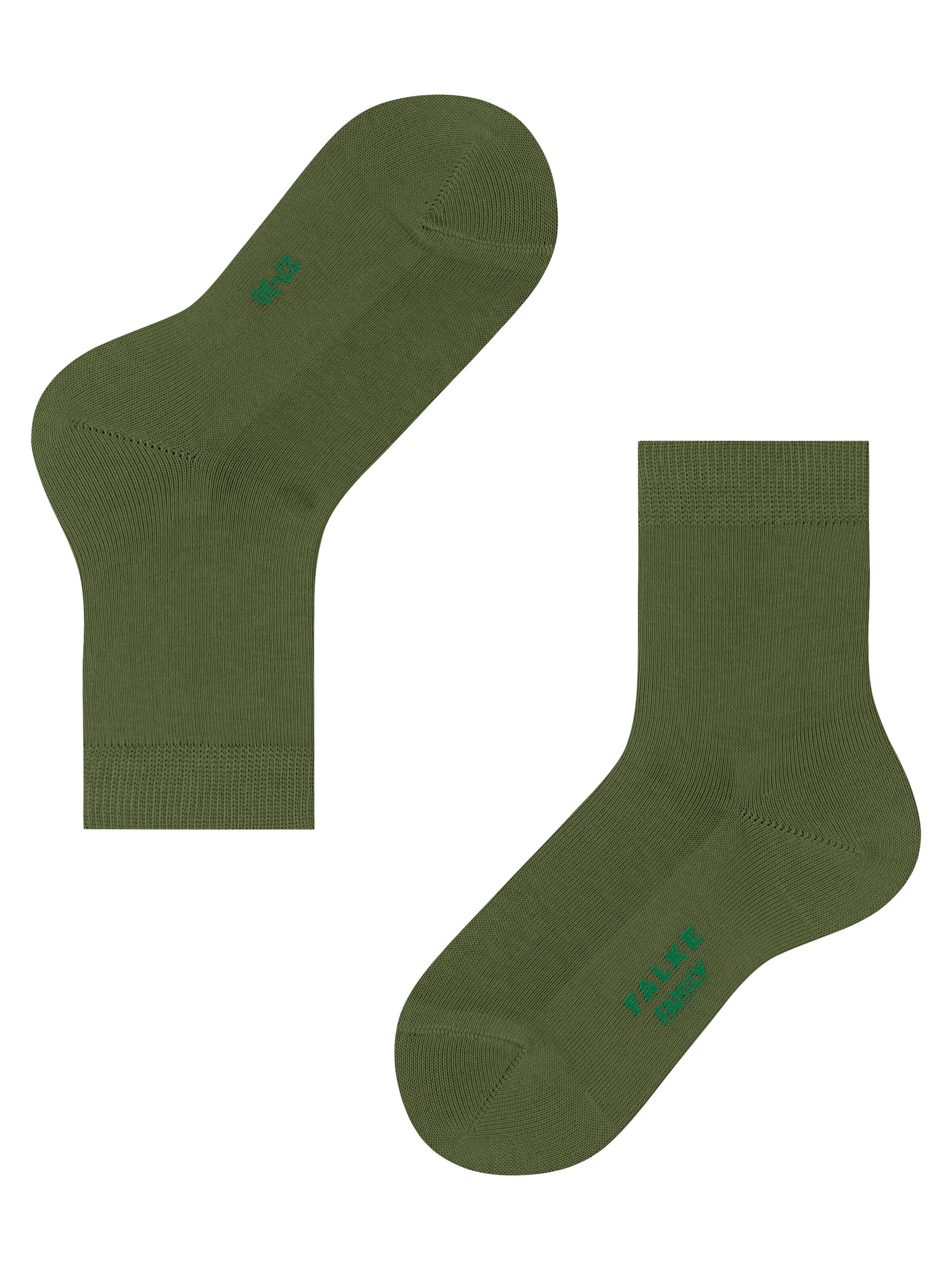 FALKE Socks 'Family' in Green