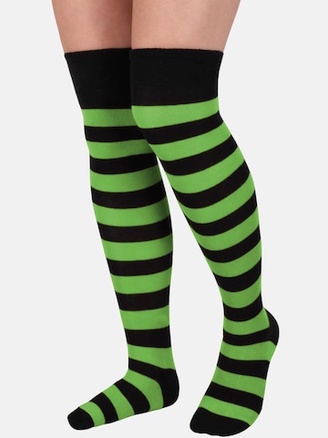 normani Over the Knee Socks in Green