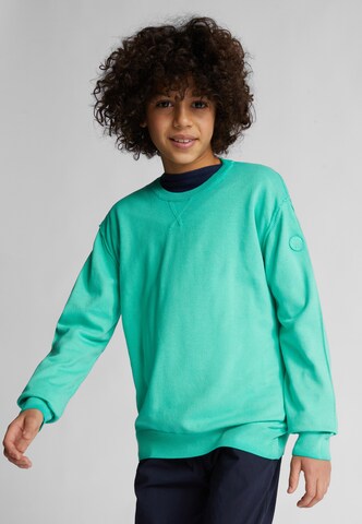 North Sails Sweatshirt in Groen