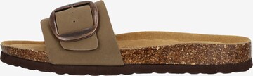 Cruz Mules 'Dreya' in Brown: front