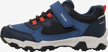 GEOX Sneaker in Blau: Vorderseite