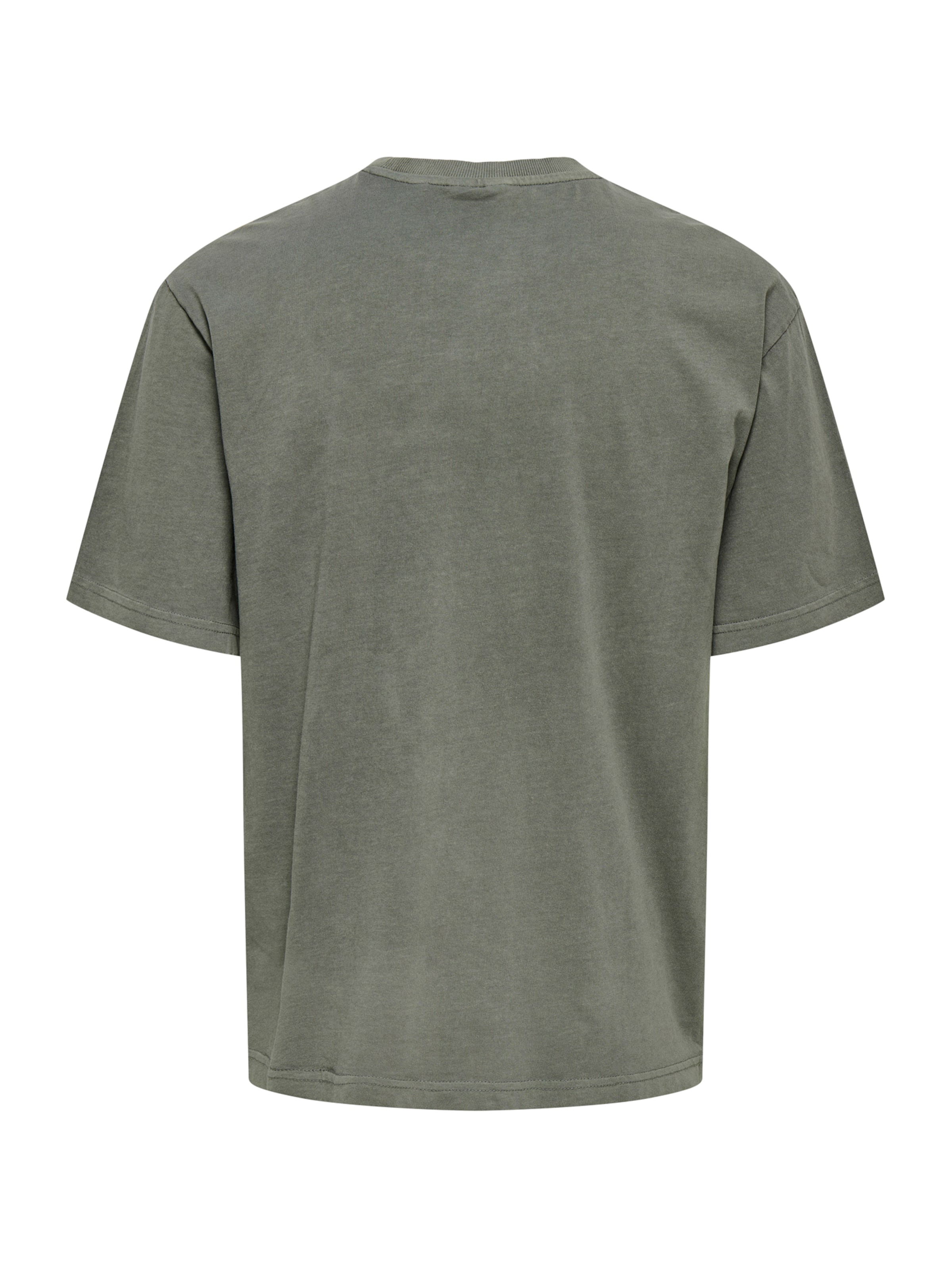 Only & Sons Bluser & t-shirts 'ONSDistress' i grå