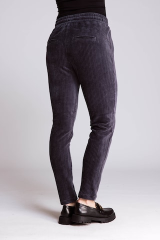 Zhrill Regular Hose in Grau