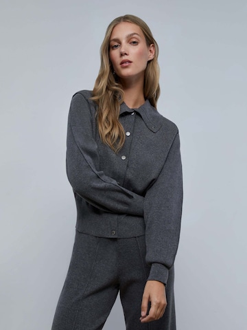 Cardigan Scalpers en gris