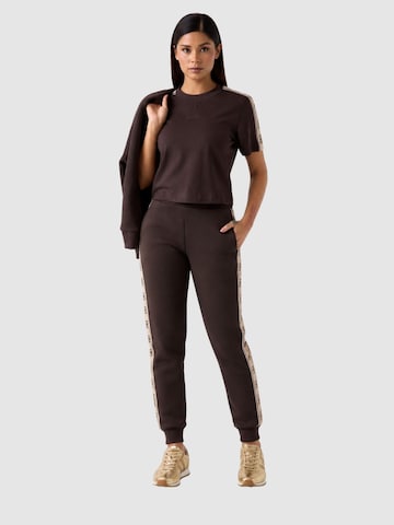 GUESS Regular Sportbroek 'V2YB15KB3P2' in Bruin