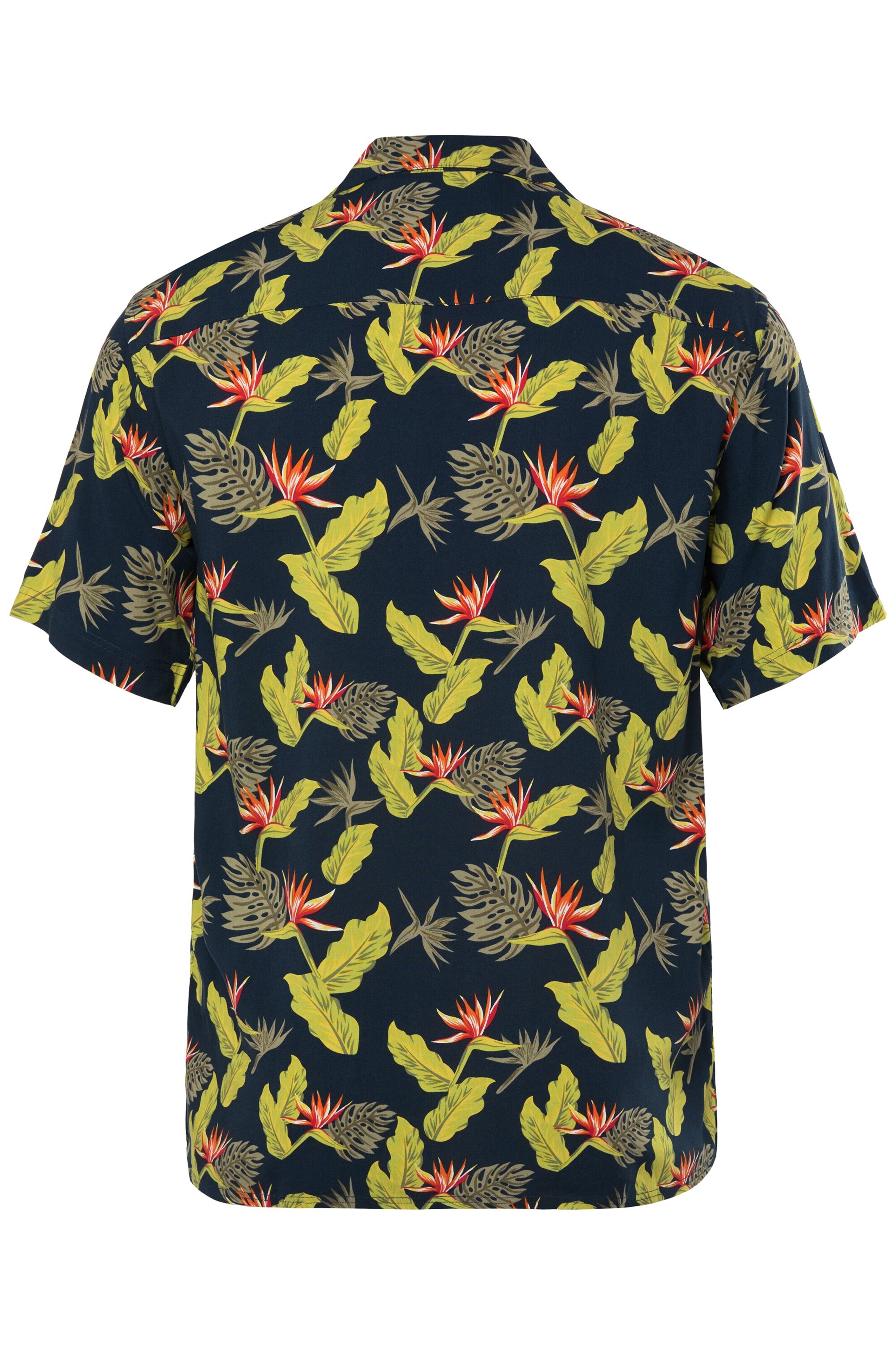 Men Plus Regular fit Button Up Shirt in Blue