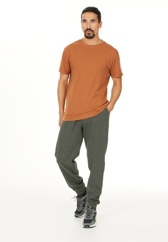 Cruz Tapered Trousers 'Regent' in Green