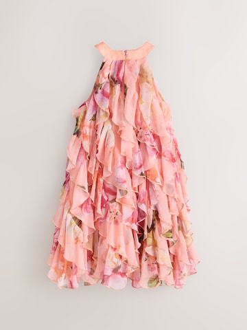 Baker by Ted Baker Jurk in Roze