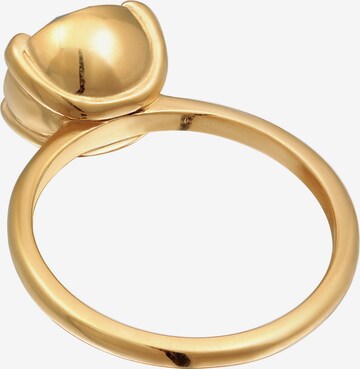 ELLI Ring in Gold