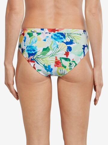 Bas de bikini 'Aqua Mix & Match Nautical' SCHIESSER en mélange de couleurs