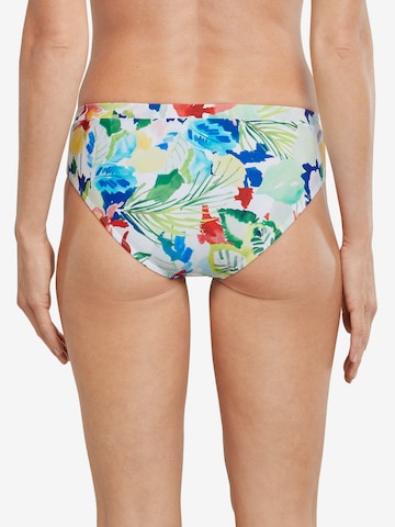 SCHIESSER Bikinibroek 'Aqua Mix & Match Nautical' in Gemengde kleuren