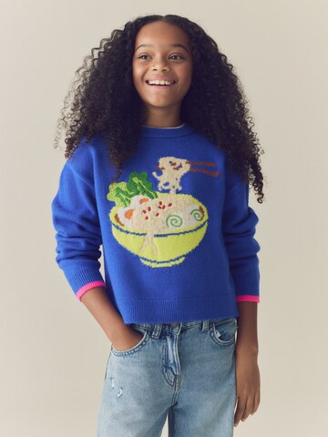 Next Pullover in Blau: Vorderseite