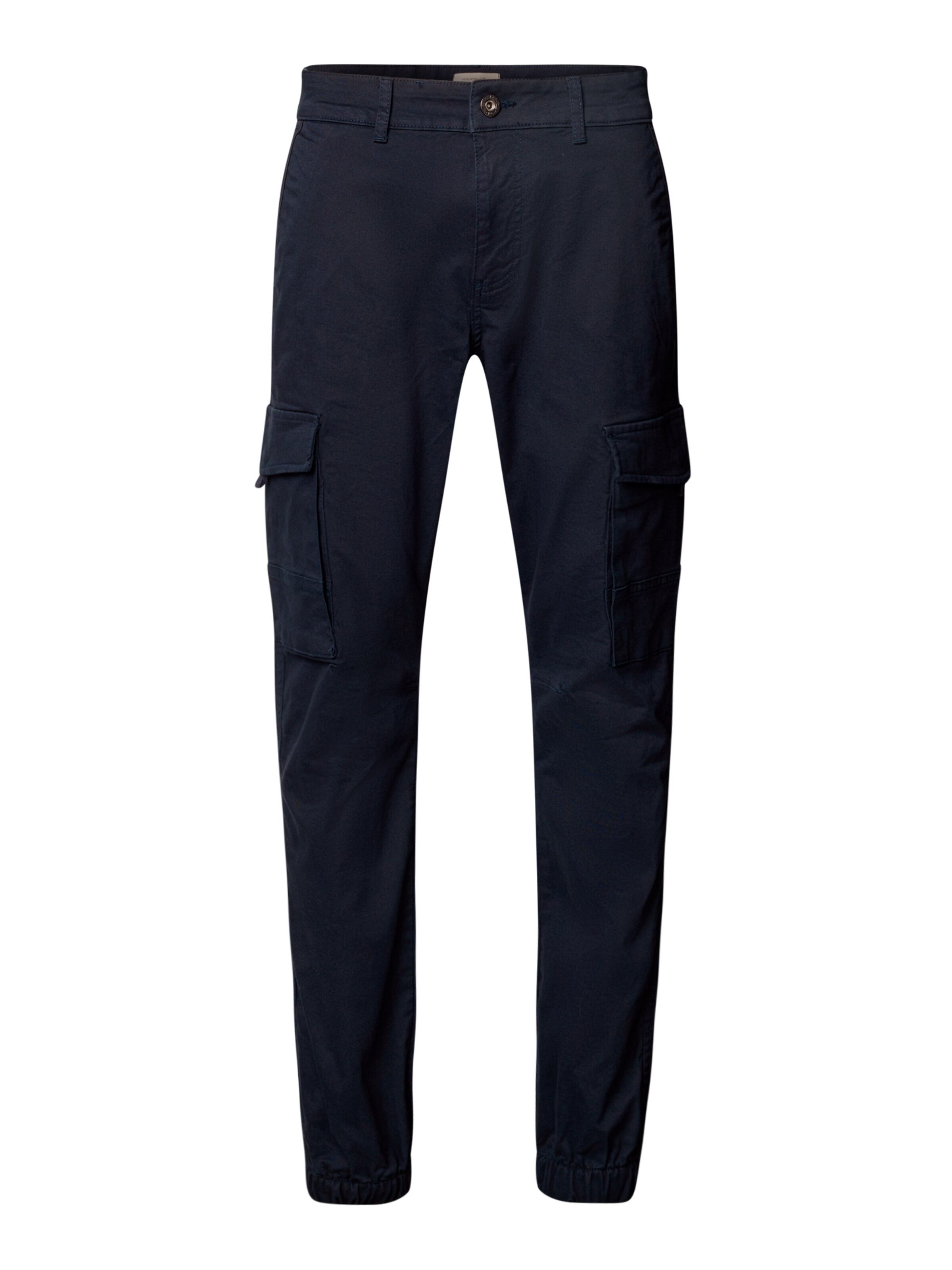 WOTEGA Cargo Pants '341' in Blue: front