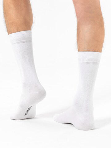 MOROTAI Spordisokid ' Brand Logo Crew Socks ', värv valge