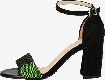 PETER KAISER Strap Sandals in Black