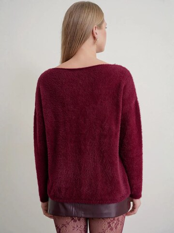 Pullover 'Pullover' di MixRay in rosso