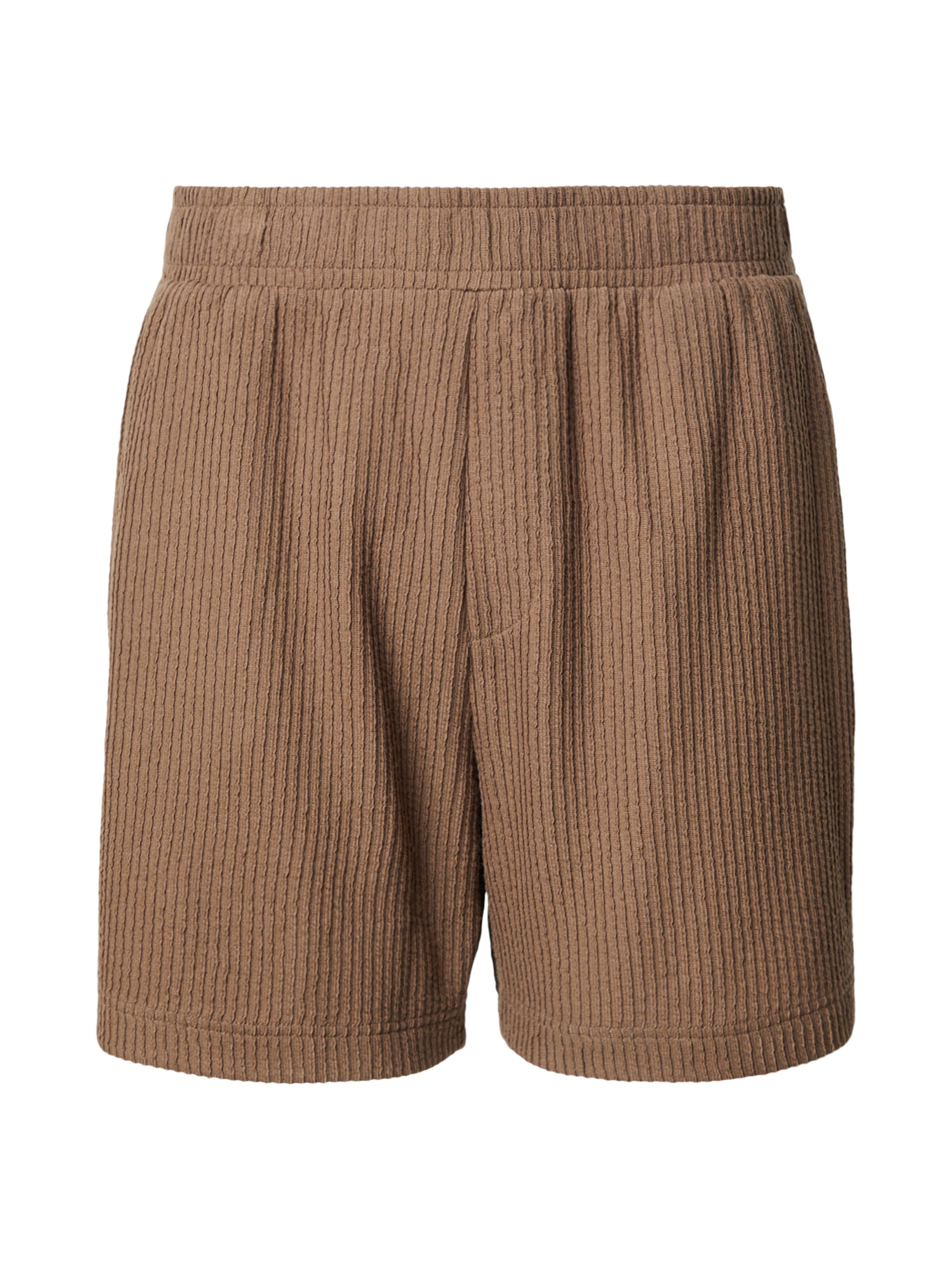 DAN FOX APPAREL Bikses 'Jeremy', krāsa - brokāta, Preces skats