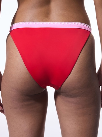 Slip bikini di Penti in colori misti