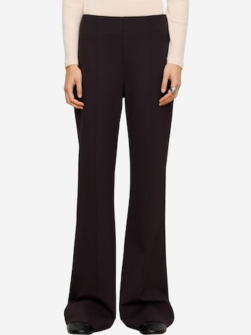 regular Pantaloni di Adolfo Dominguez in marrone