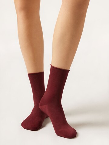 CALZEDONIA Socks in Red: front